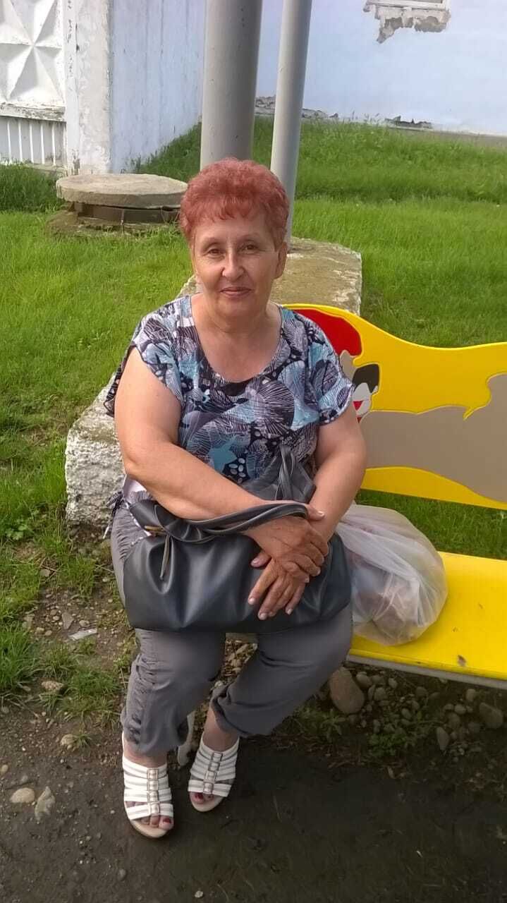  33831238  , 66 ,    