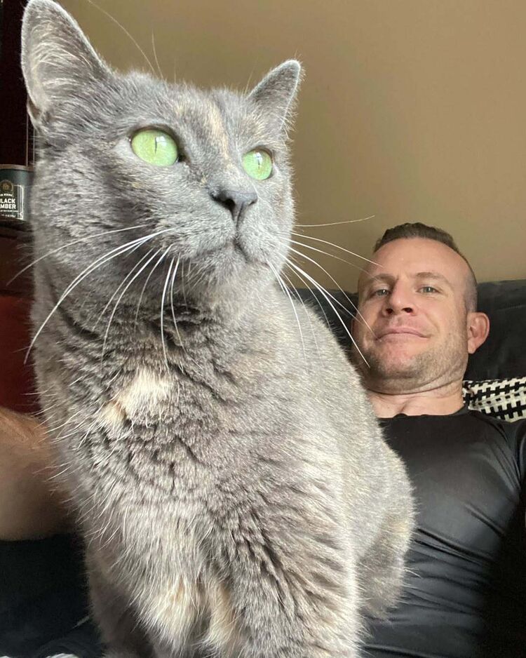 ���� 50658498 ������� �������, 38 ���, ���� ���������� � �����