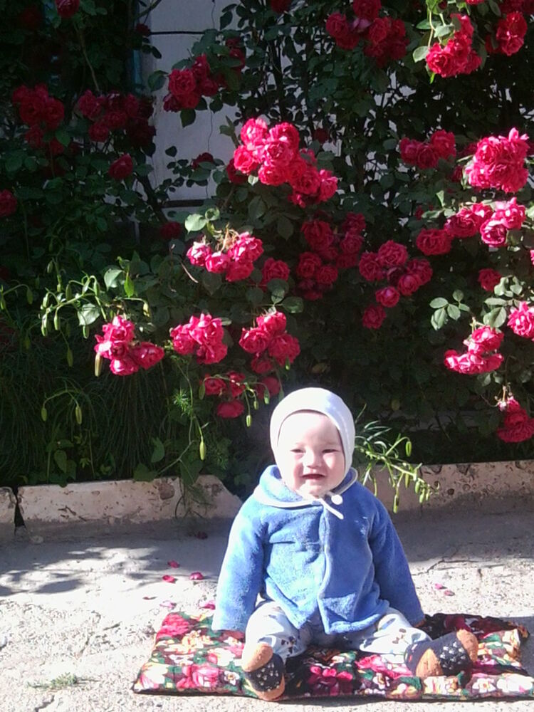 ���������� ����-���������, ���� ������� Born, 48 ���, ������������ ��� ������