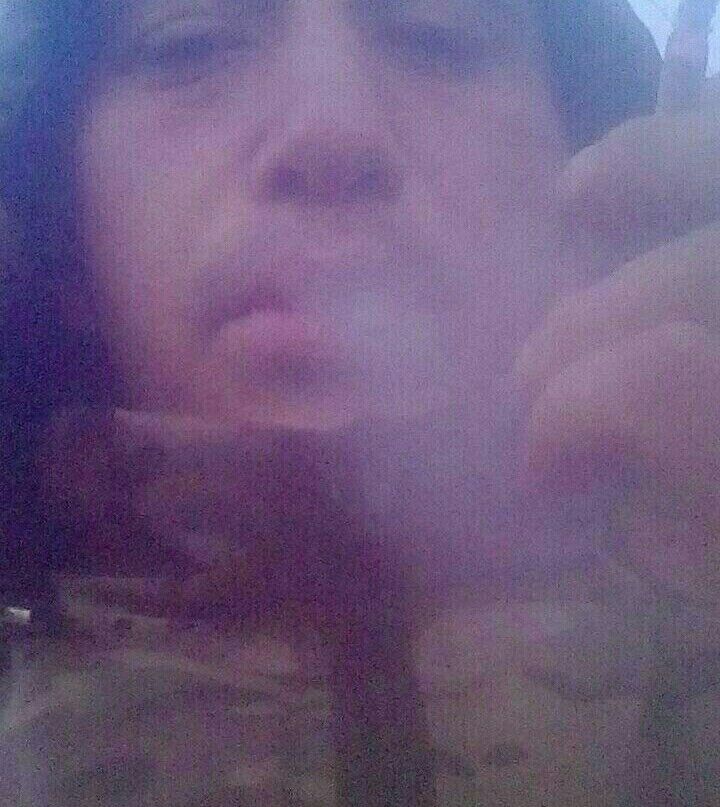  31485668  , 29 ,    