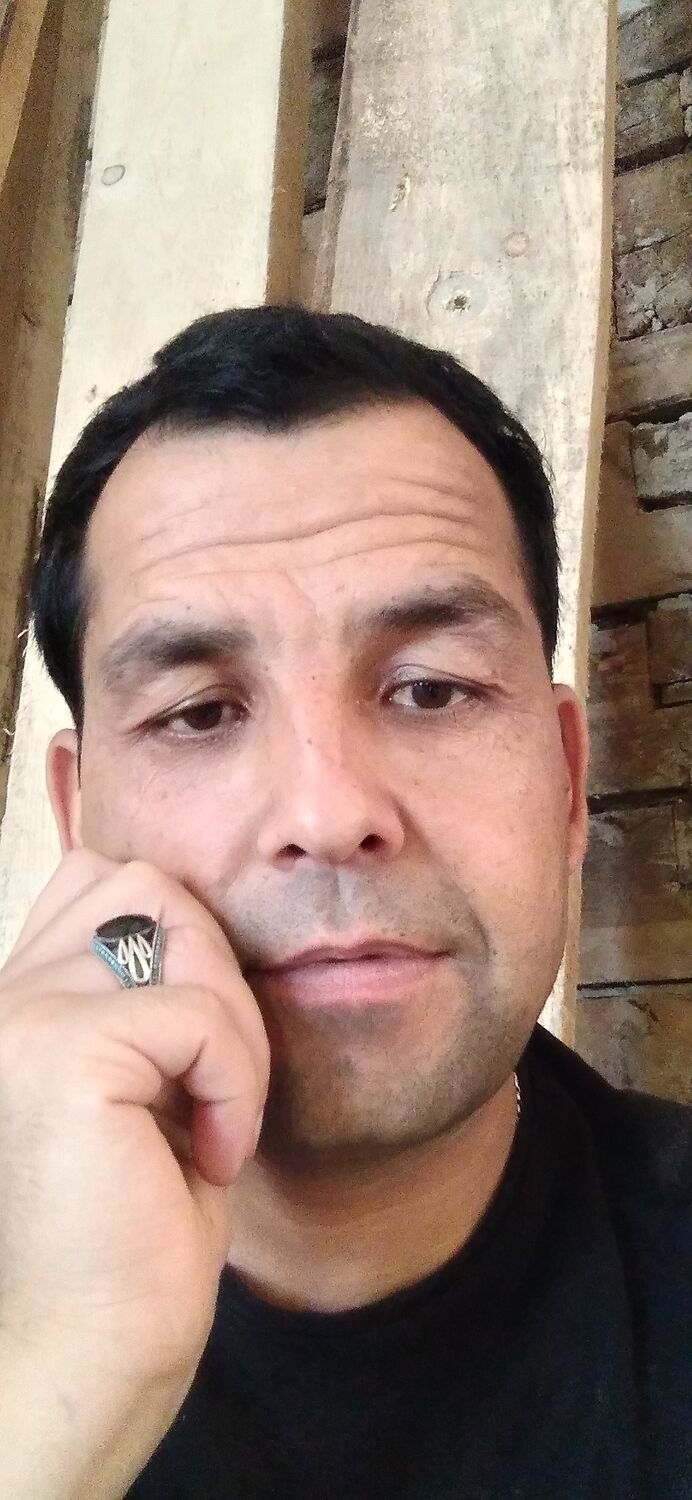 ���� 23429548 ������� ���  XL XL, 48 ���, ���� ���������� � ������