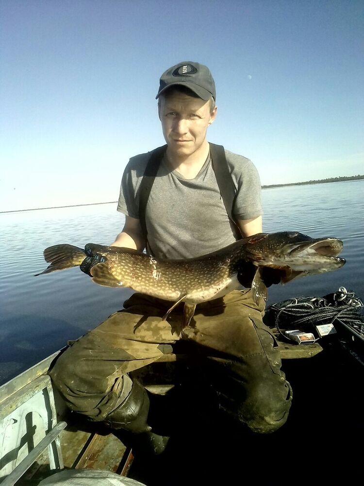 ���������� �����������, ���� ������� �������, 38 ���, ������������ ��� ������, ����� � ���������, c�������� ���������, ���������