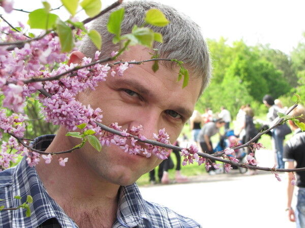 ���� 7582868 ������� ����, 51 ���, ���� ���������� � ������ ����