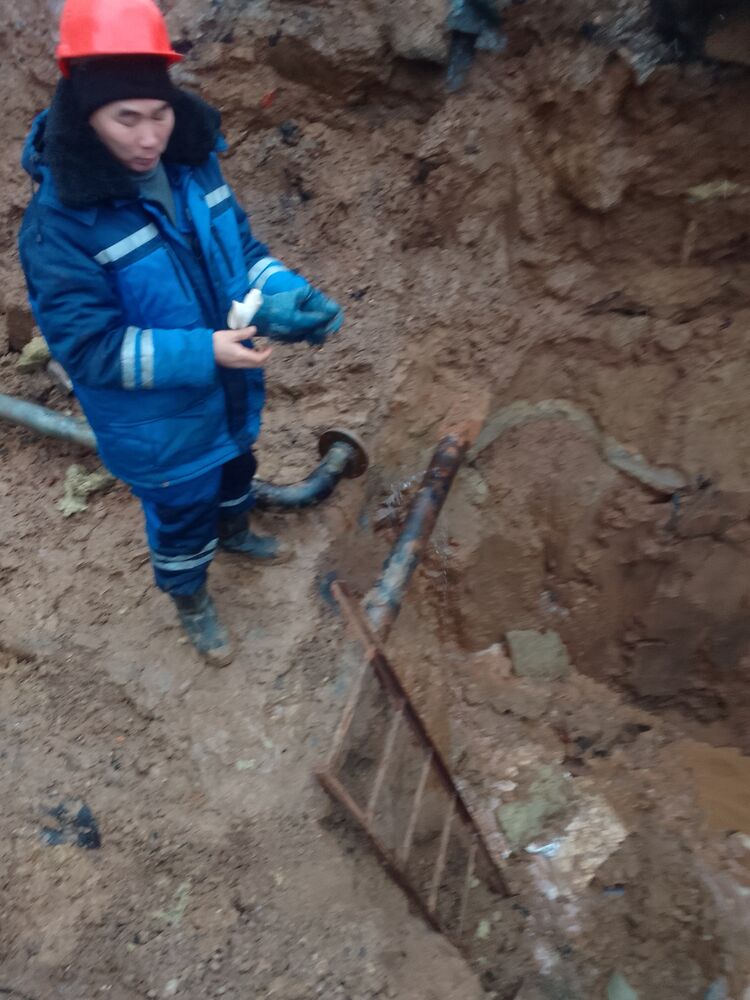 ���� 33066758 ������� �����, 41 ���, ���� ���������� � ������