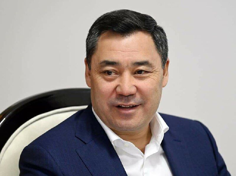 ���� 25230238 ������� �������, 28 ���, ���� ���������� � �������