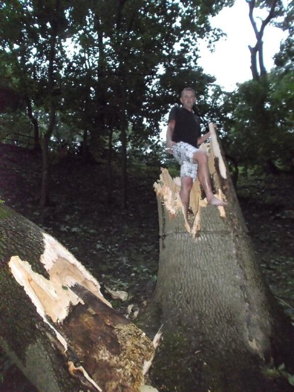  5542528  Ronin, 46 ,    