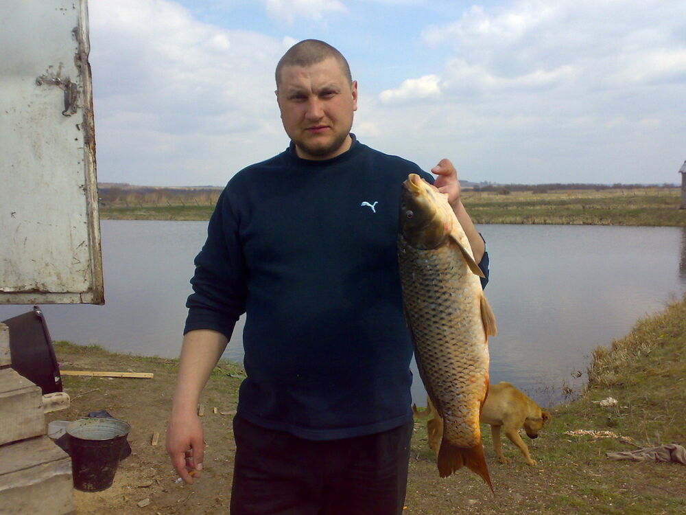 ���� 8755668 ������� Vitos, 44 ����, ���� ���������� � �����������