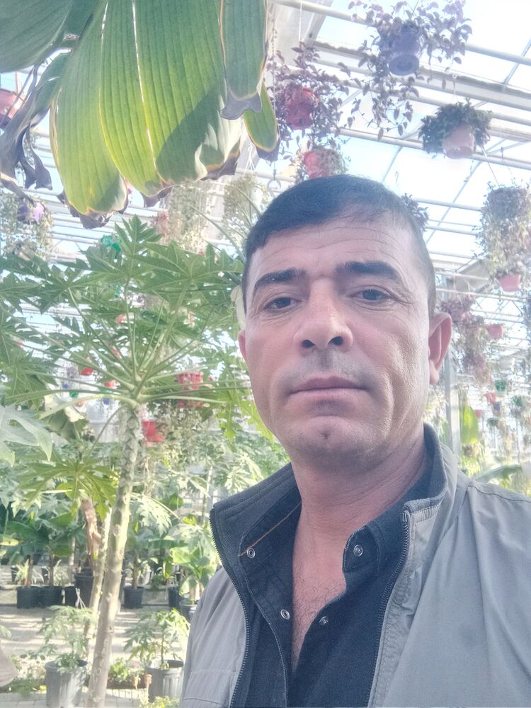 ���������� �������, ���� ������� ������, 39 ���, ������������ ��� ������, ����� � ���������