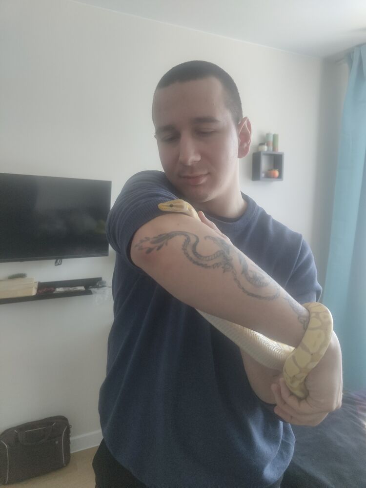 ���� 55992798 ����� ������, 22 ����, ���� ���������� � �����������