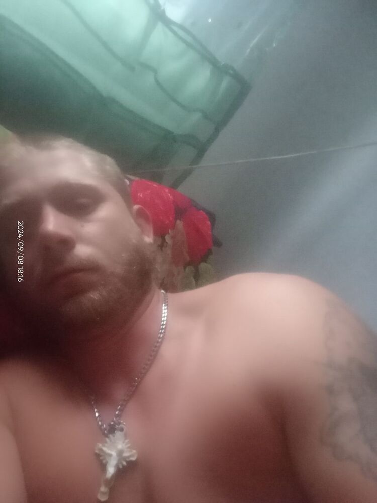  46044178  , 31 ,    --