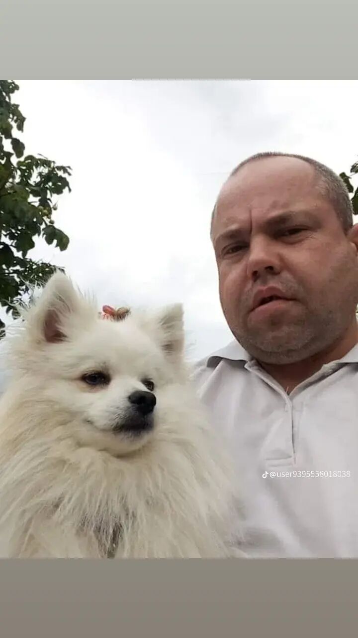  ,   , 41 ,     , c , 