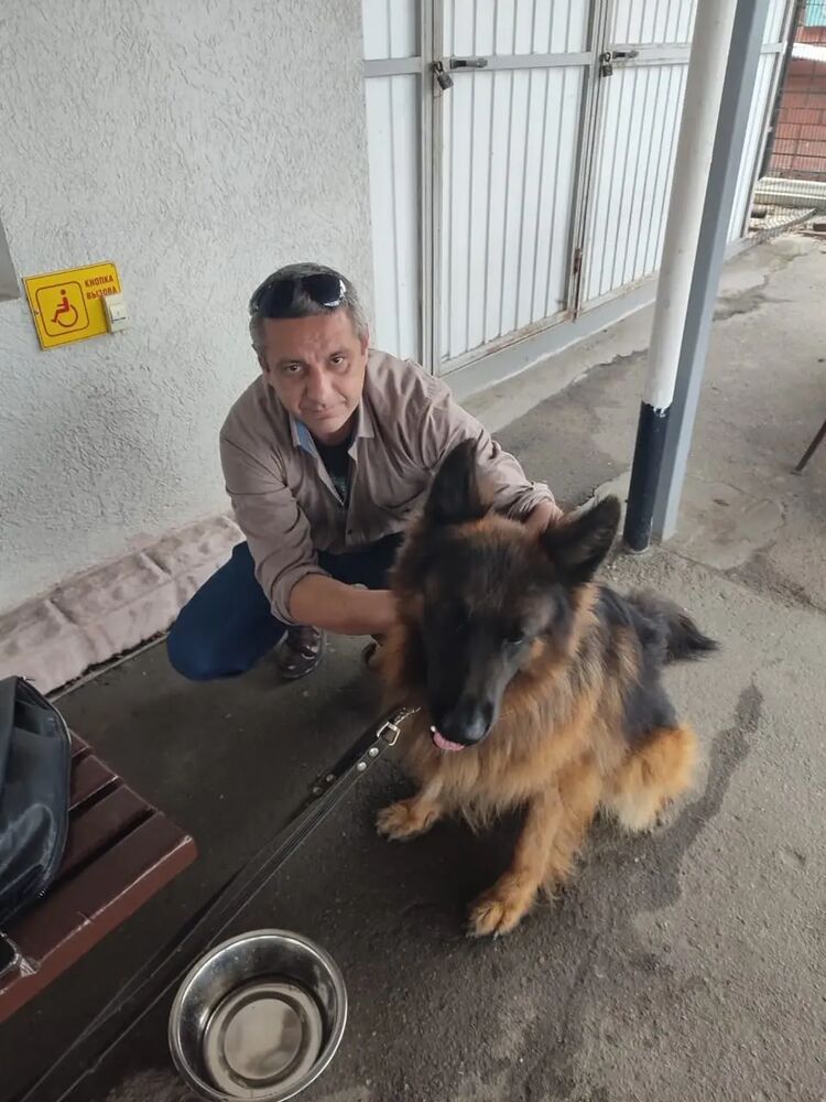 ���������� ����, ���� ������� ����, 38 ���, ������������ ��� ������, ����� � ���������, c�������� ���������