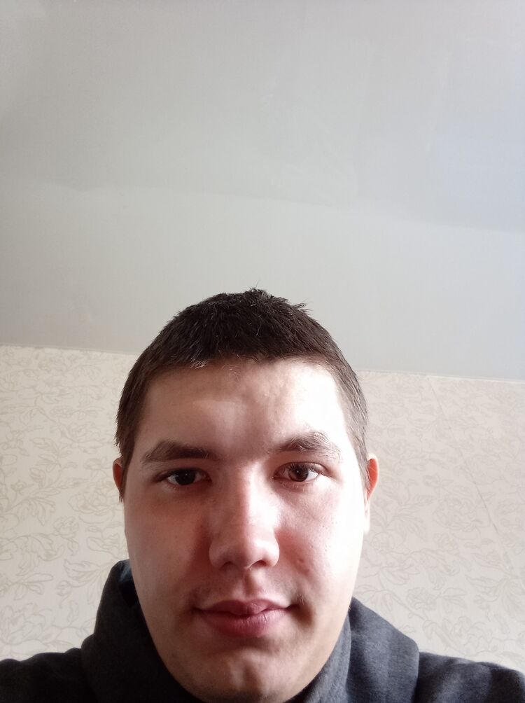  29522688  , 24 ,    