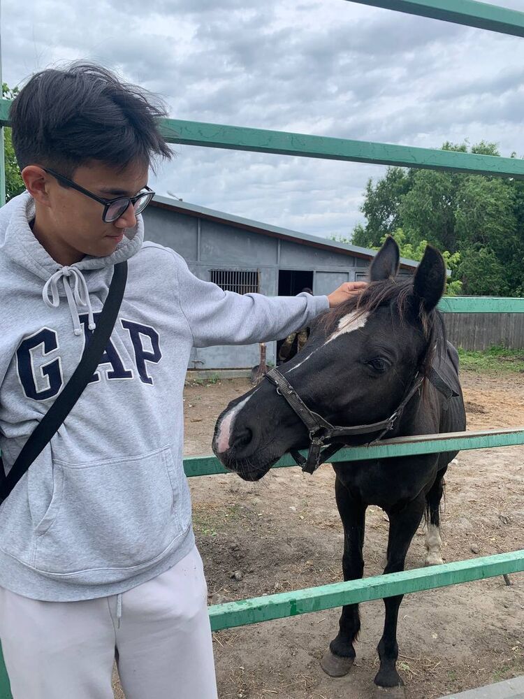 ���� 43480618 ����� �����, 21 ���, ���� ���������� � ��������