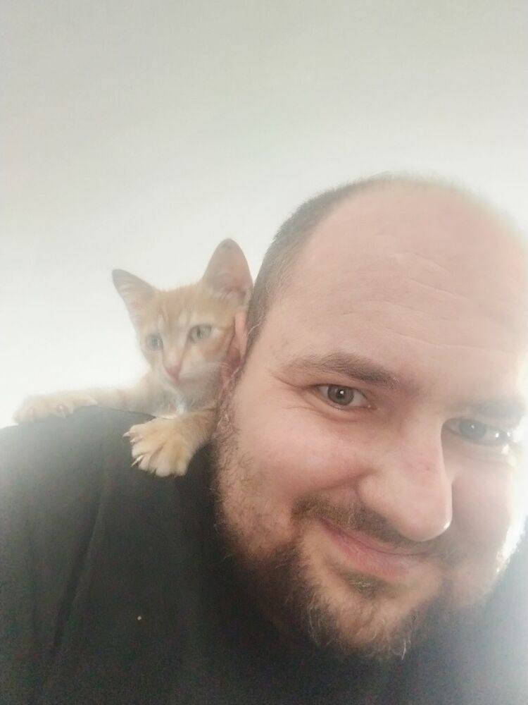 ���� 56119588 ������� ����, 36 ���, ���� ���������� � �������