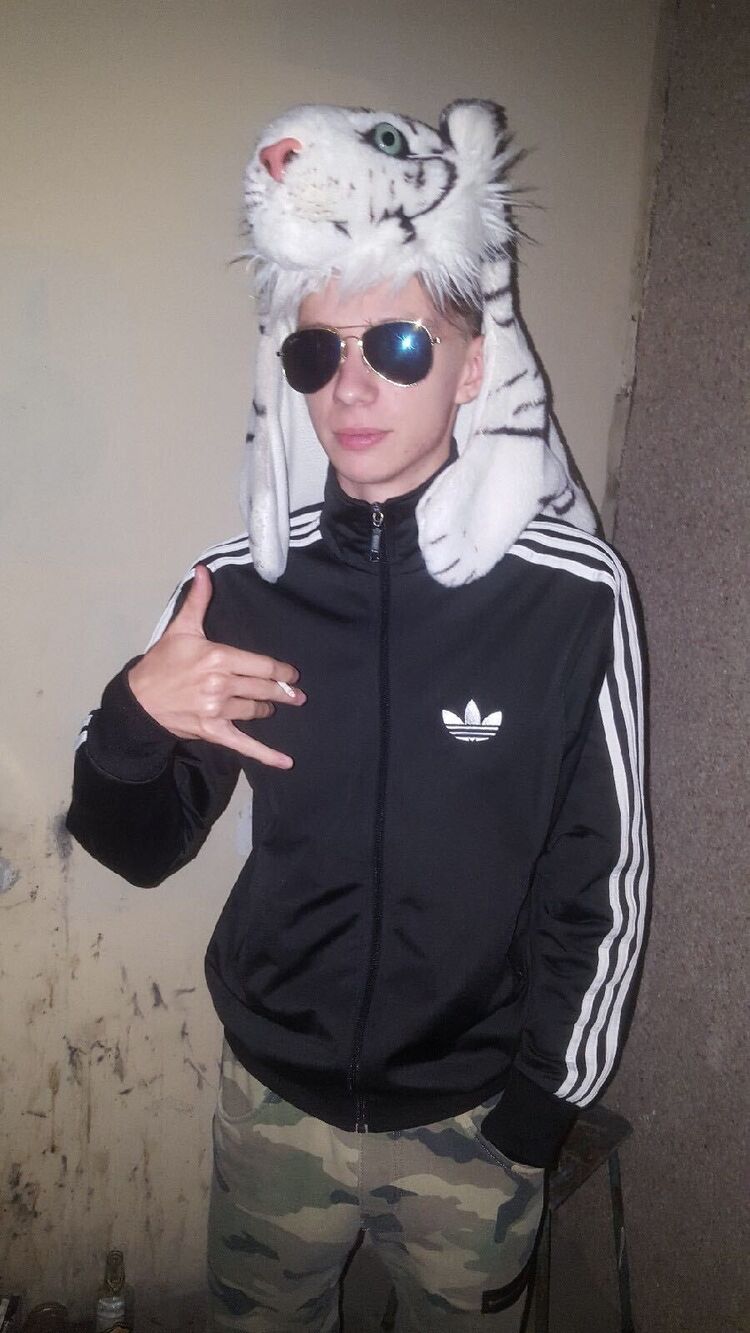  40495588  , 24 ,    