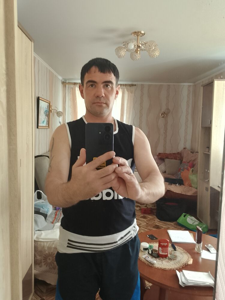  53609038  , 43 ,    -