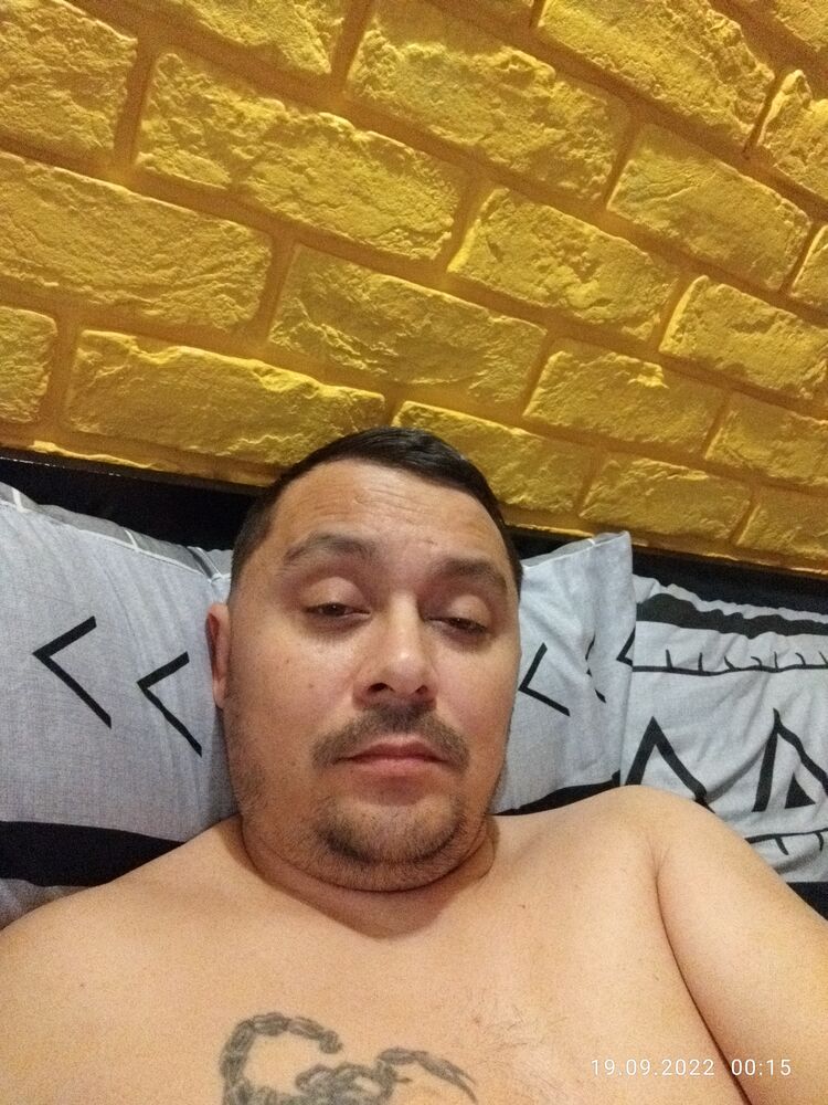  33044018  , 43 ,    -