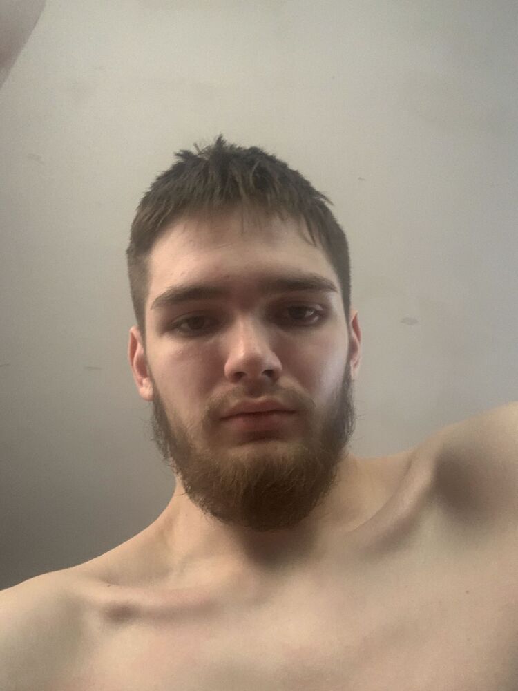  42208588  , 21 ,    