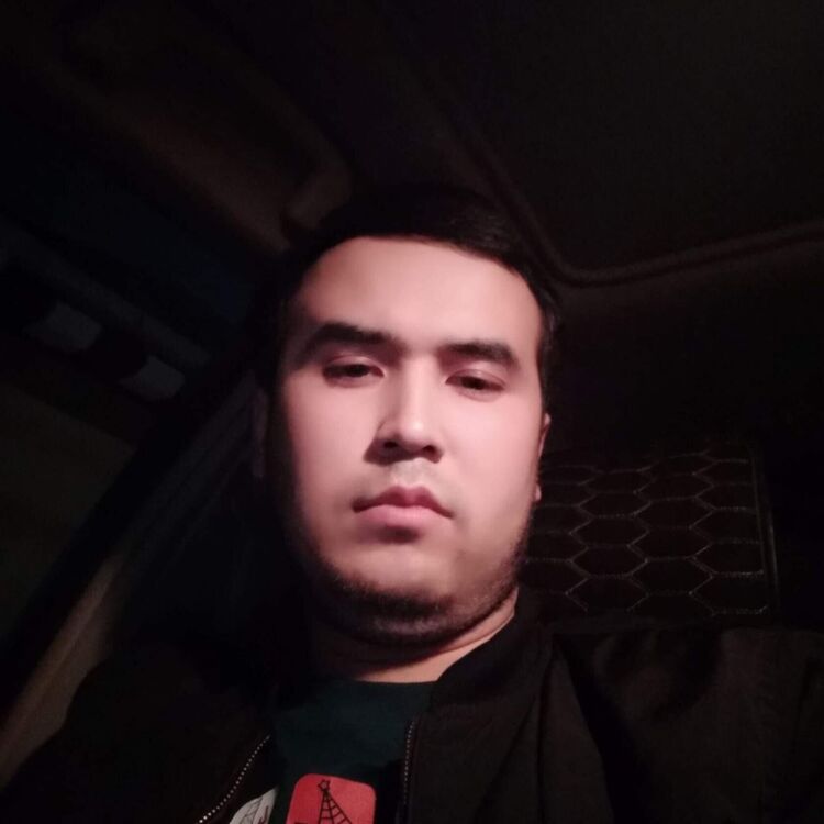  52643748  , 31 ,    