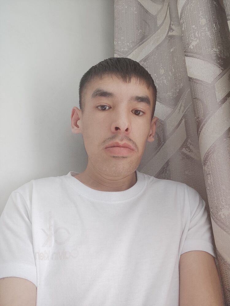  50496438  , 28 ,    