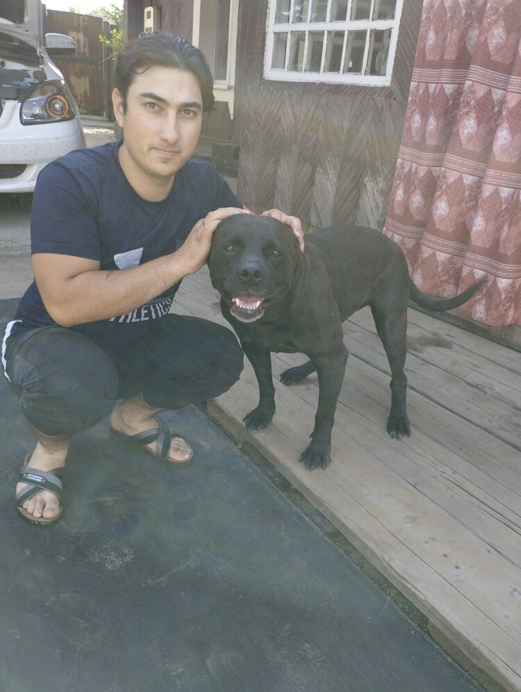 ���� 30972418 ������� ���������, 28 ���, ���� ���������� � �����