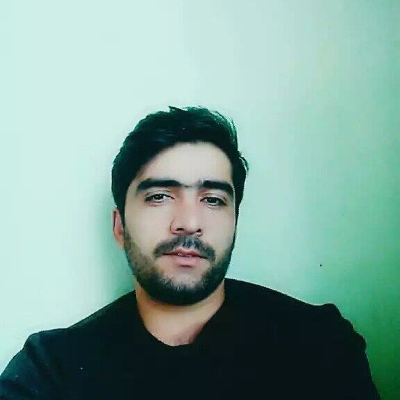  29355508  , 32 ,    