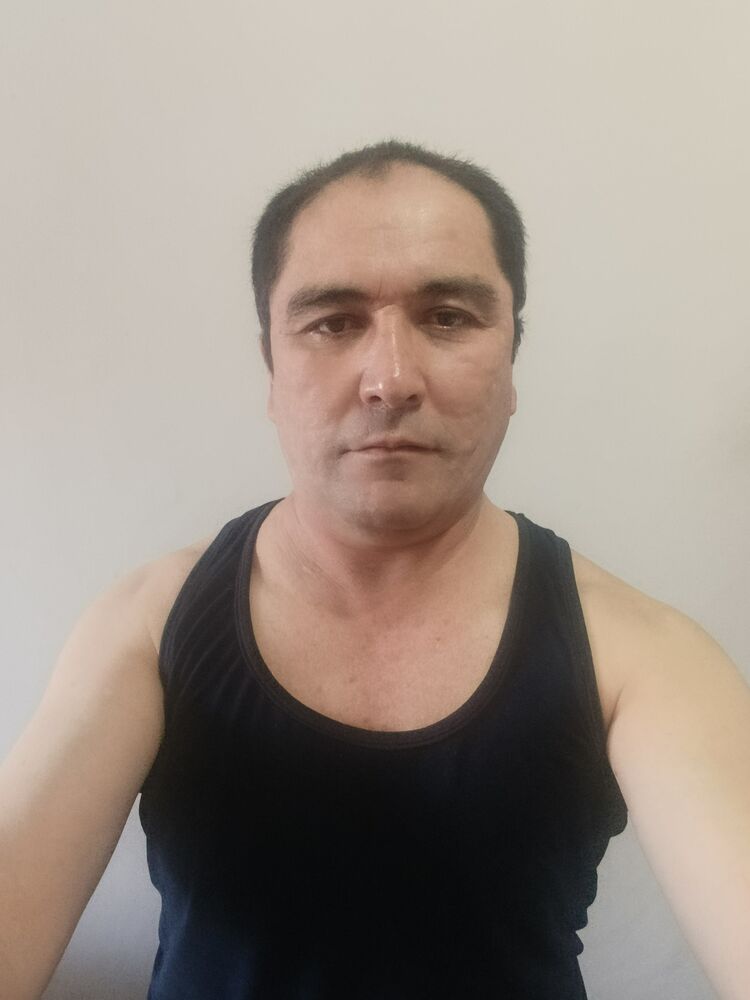 ���� 55993208 ������� �����, 49 ���, ���� ���������� � ��������