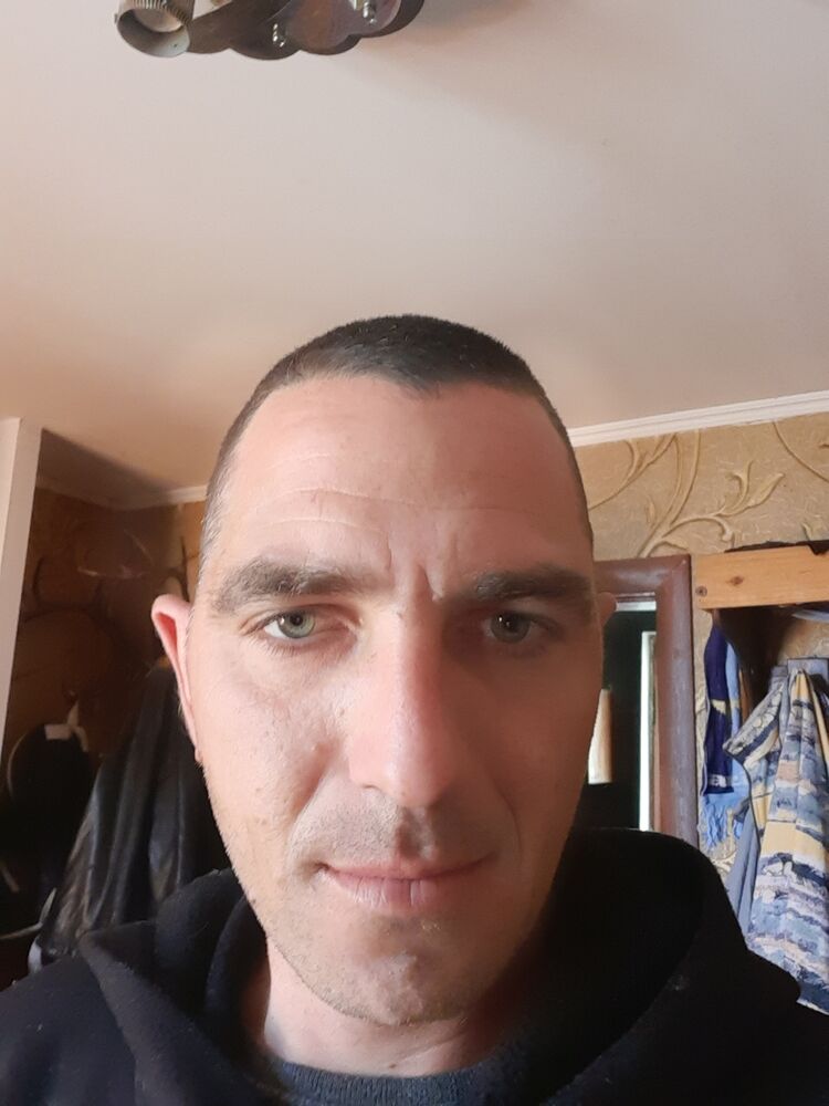  43423978  , 36 ,    