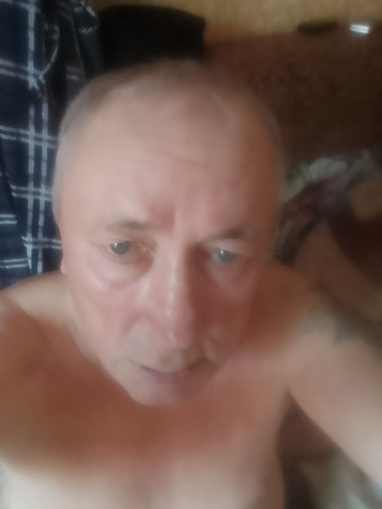 ���� 56136478 ������� ���������, 72 ����, ���� ���������� � ��������