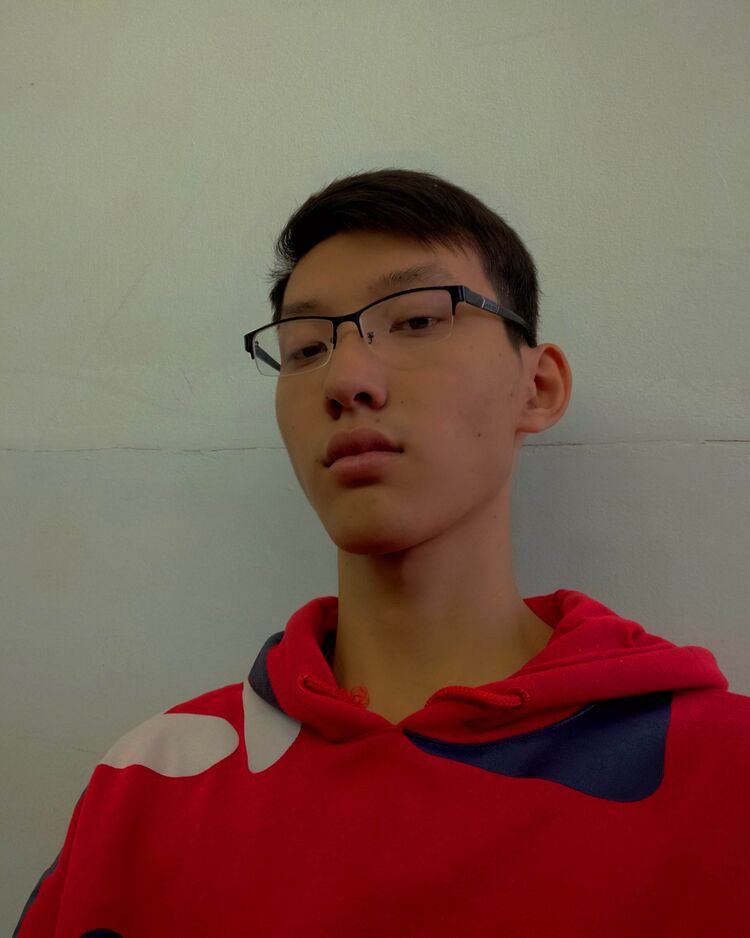  31399598  Aman, 21 ,    