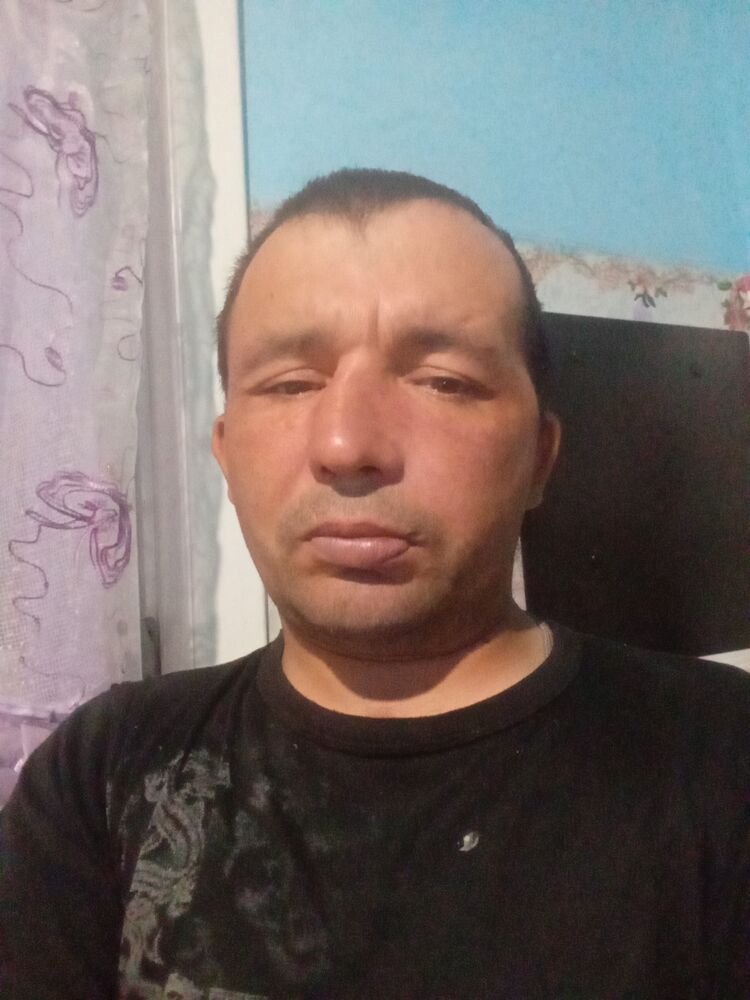  52576038  , 38 ,    -