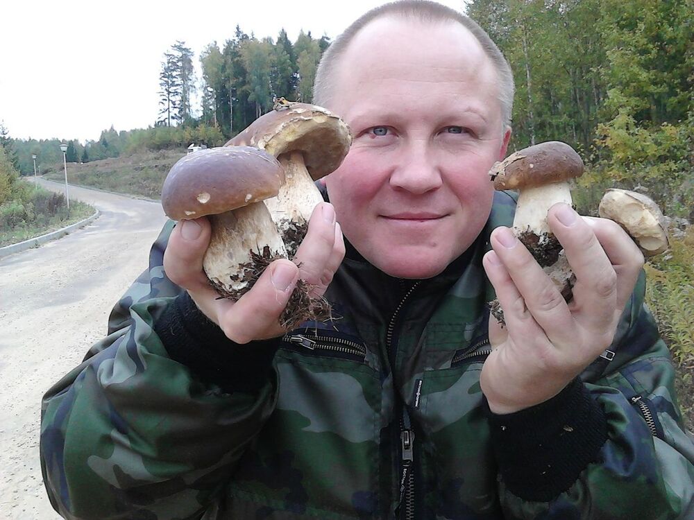 ���� 5244938 ������� �����, 50 ���, ���� ���������� � ������