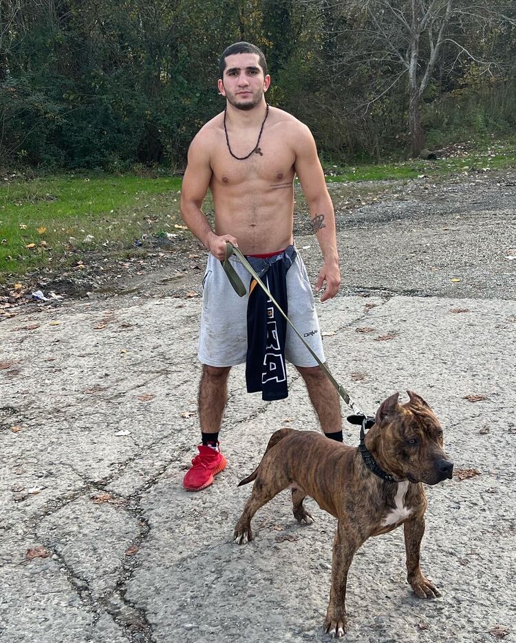 ���� 31883328 ����� �����, 25 ���, ���� ���������� � ����