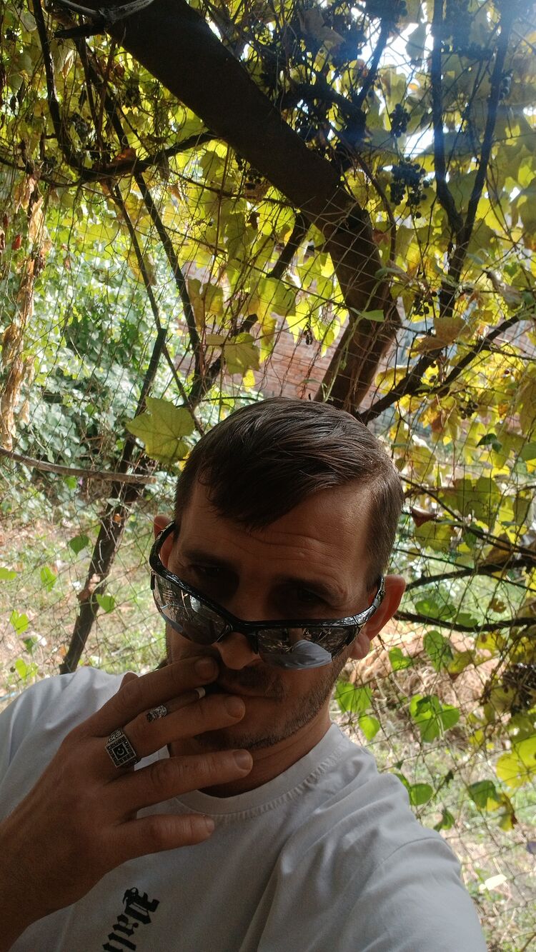  46931198  , 32 ,    