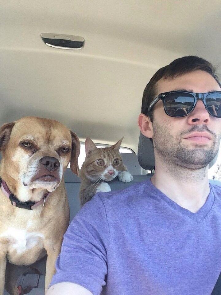 ���� 6463888 ������� �������, 53 ����, ���� ���������� � �����������