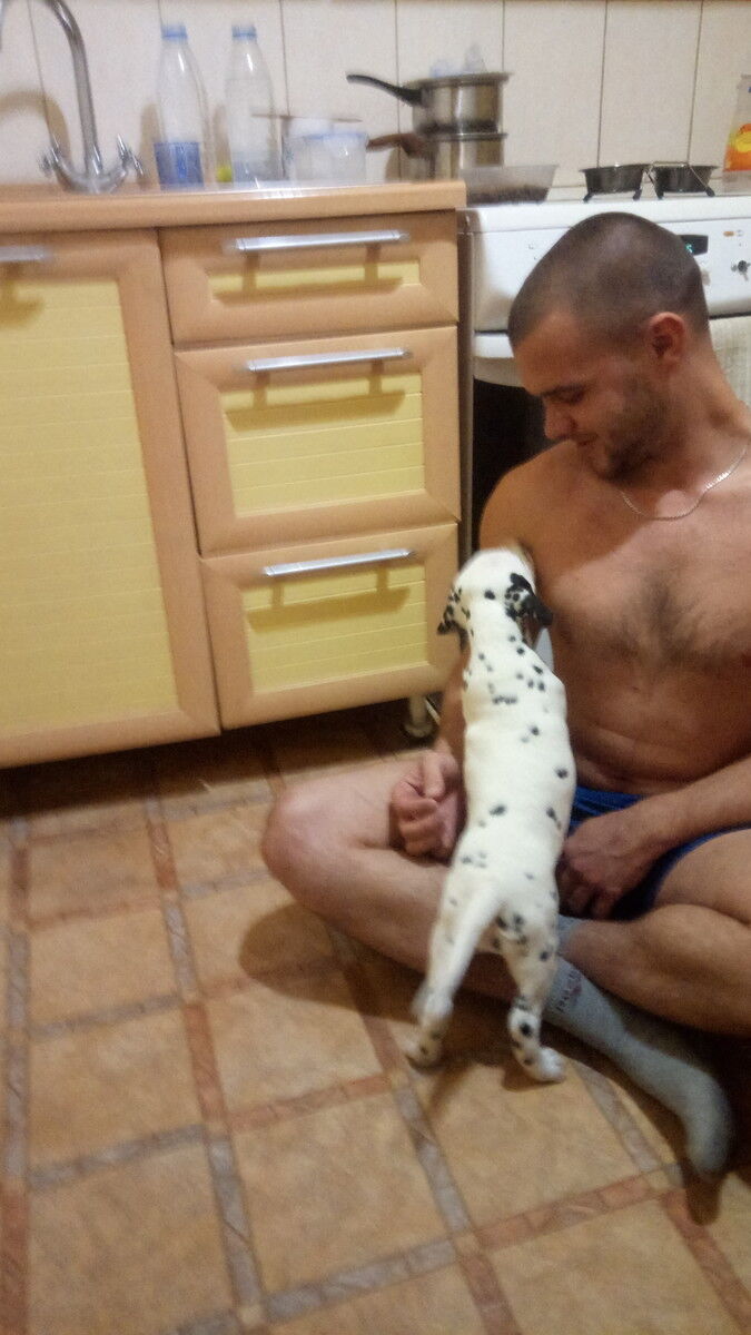 ���������� ��������, ���� ������� ��������, 33 ����, ������������ ��� ������