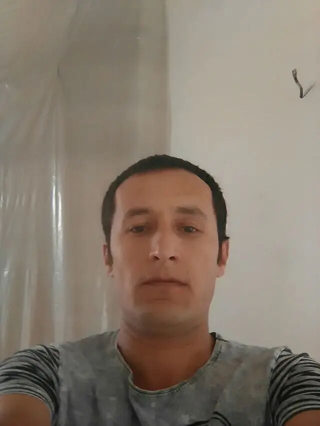 ���� 43017398 ������� ����, 40 ���, ���� ���������� � ������