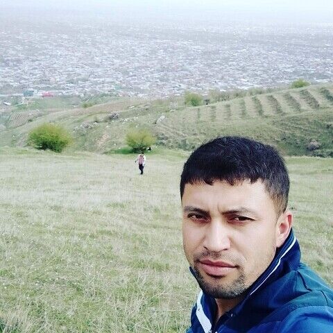  48292408  Gaspadin, 36 ,    
