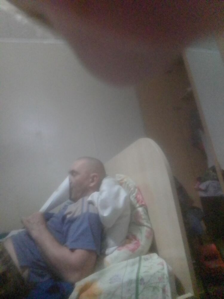  33567578  , 43 ,    