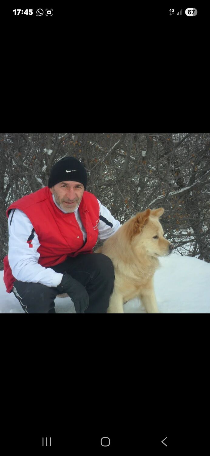 ���� 54151868 ������� ��, 55 ���, ���� ���������� � �������