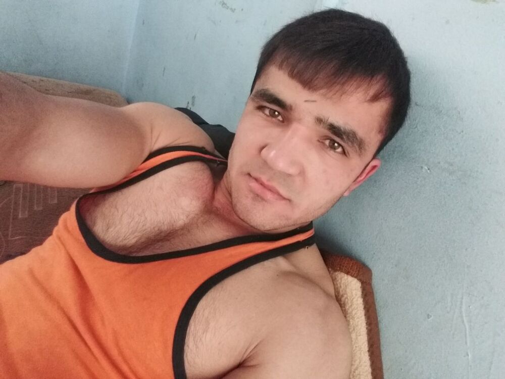 ���� 29604498 ������� ����, 32 ����, ���� ���������� � ���������