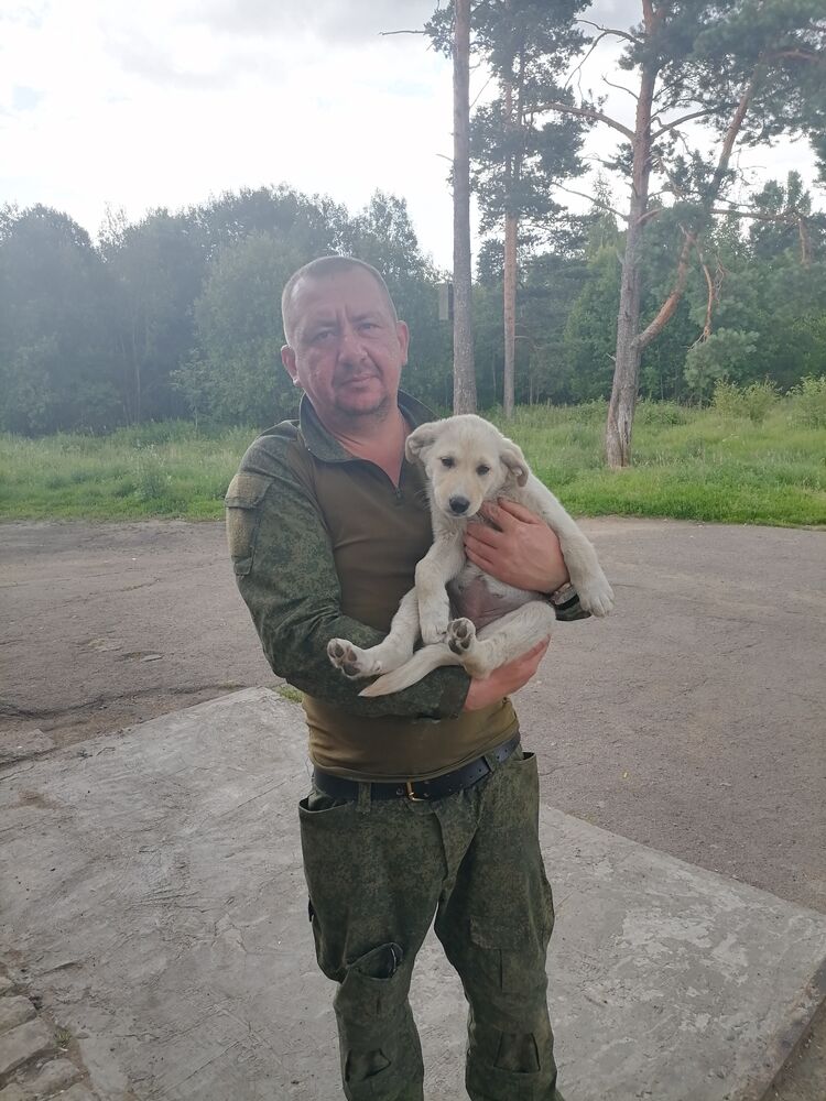 ���� 44851648 ������� �����, 41 ���, ���� ���������� � ������