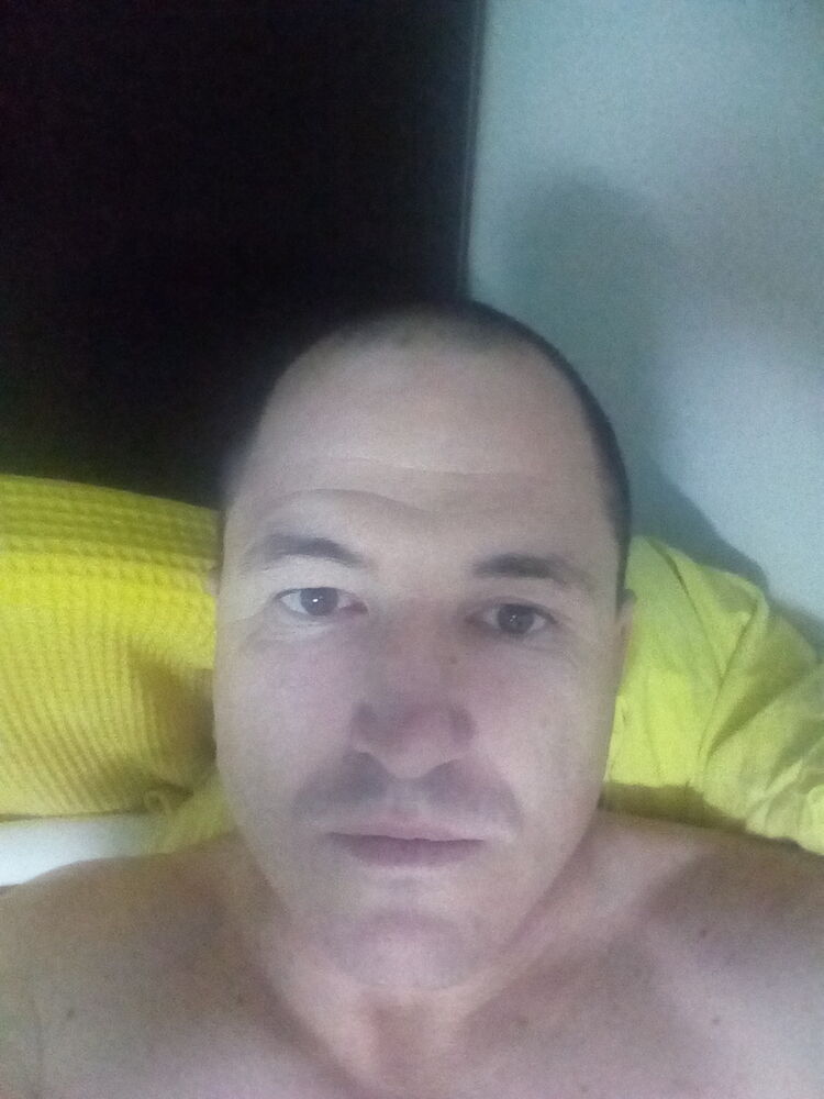  13621268  , 47 ,    