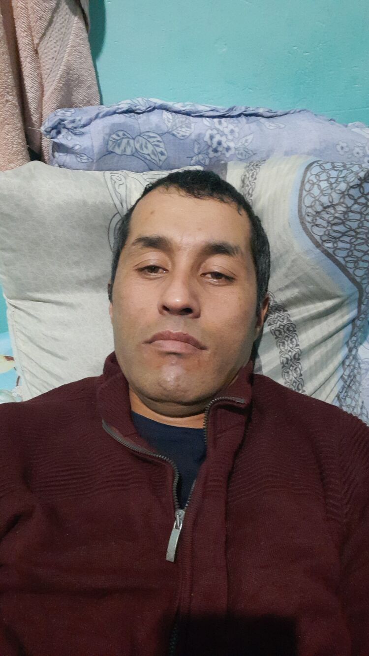 ���� 46214188 ������� ������, 43 ����, ���� ���������� � �����-����������