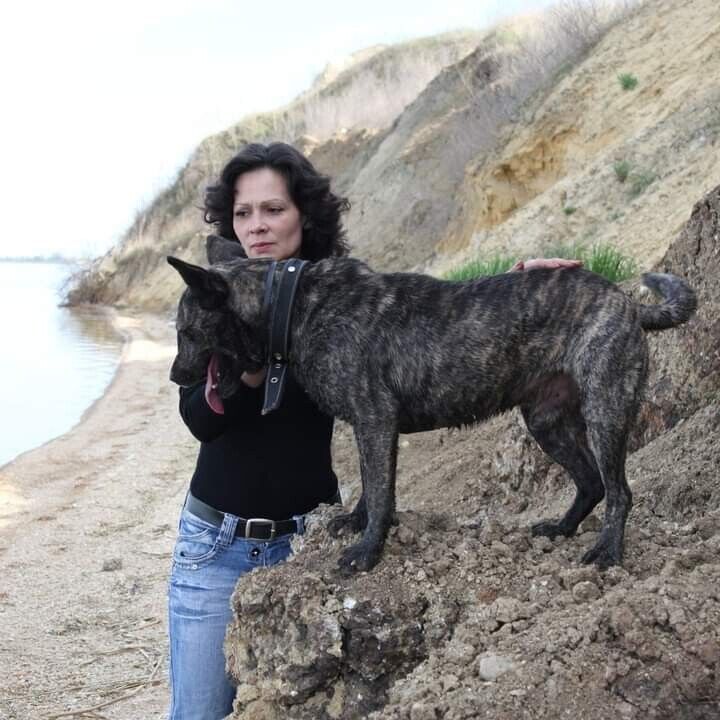  22304258  Sveta, 47 ,    