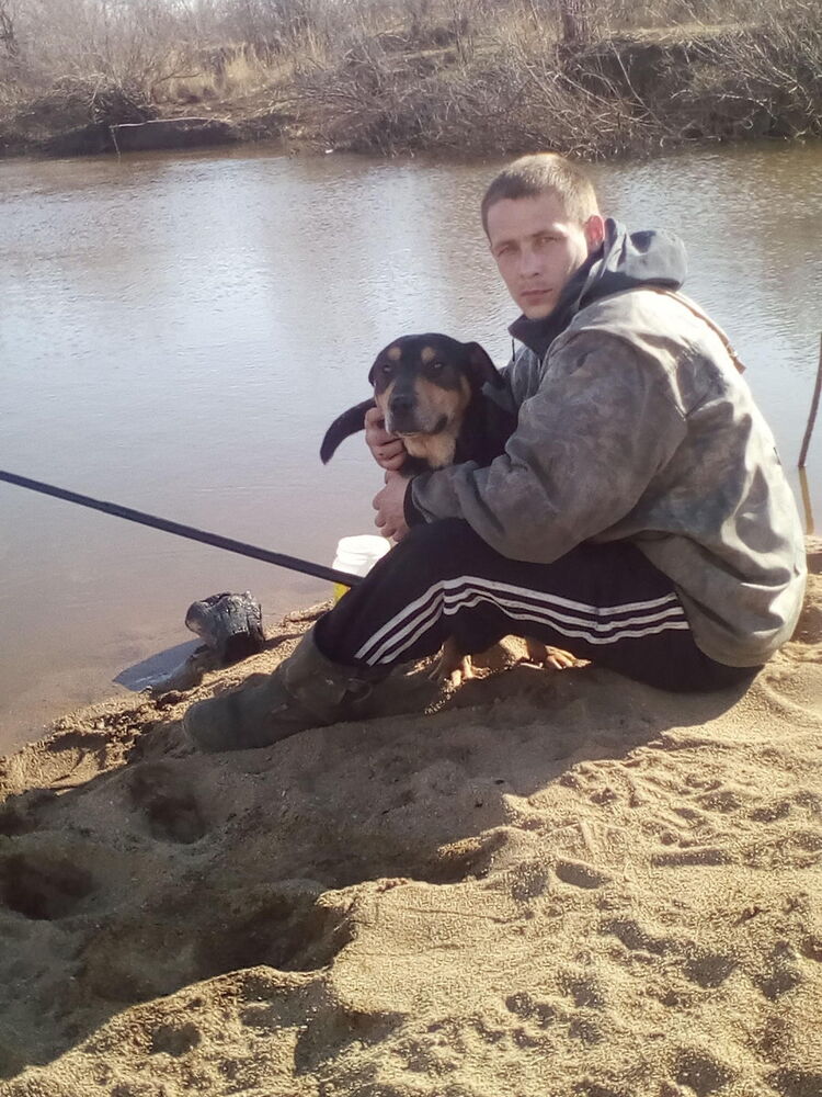 ���� 17453858 ������� �����, 33 ����, ���� ���������� � �����������