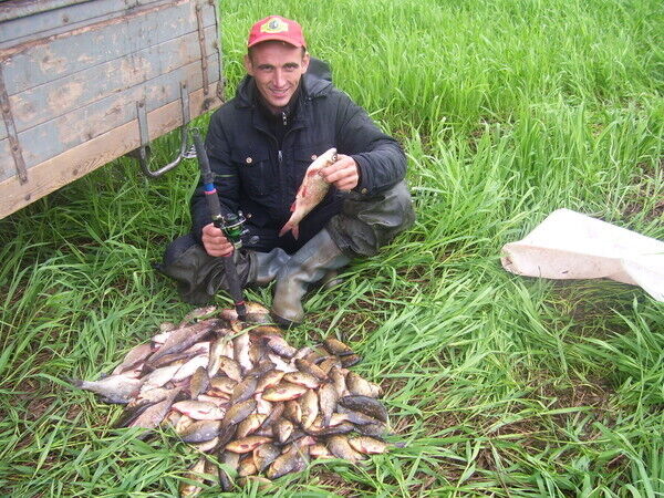 ���������� �����, ���� ������� �������, 48 ���, ������������ ��� ������, ����� � ���������, c�������� ���������