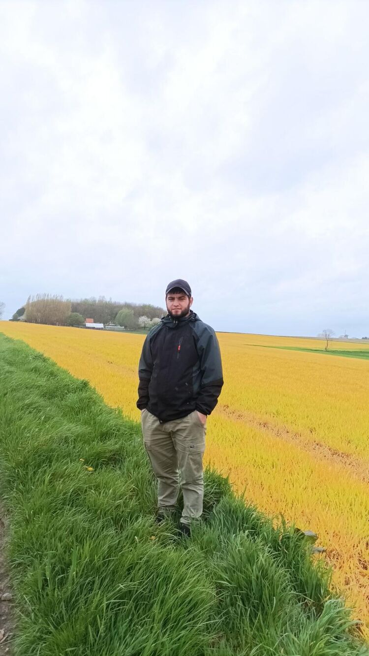 ���������� ��������, ���� ������� Ibon, 31 ���, ������������ ��� ������, ����� � ���������, c�������� ���������