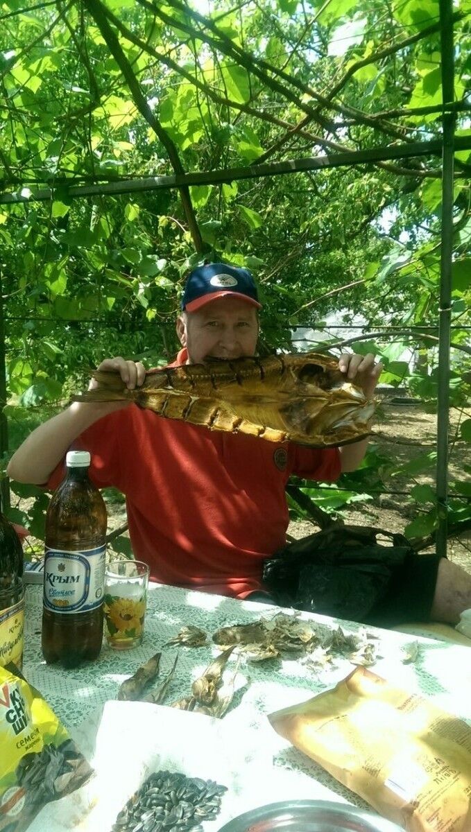  6267318  , 51 ,    